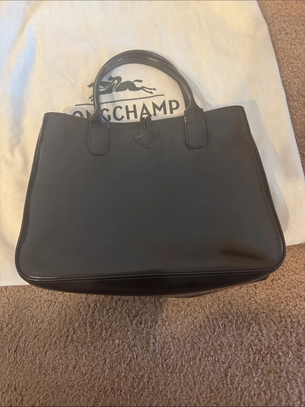 Longchamp classic leather